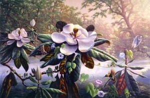 MISTY MAGNOLIA di R. C. Davis STAMPA ESAURITA - Foto 1 di 1
