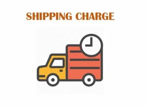 Shipping Charge for Upgrade Shipping Service and International Shipping Charge - Picture 1 of 1