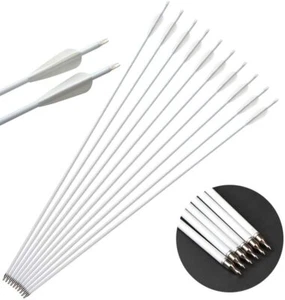 12X Carbon Arrows 30'' Archery Vanes SP500 Compound Recurve Bow Target Hunting - Picture 1 of 9