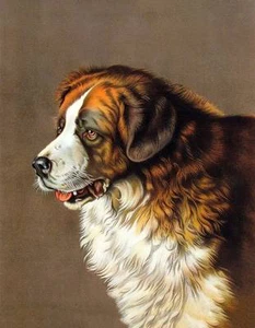 St Bernard by Frank Patton - Picture 1 of 1