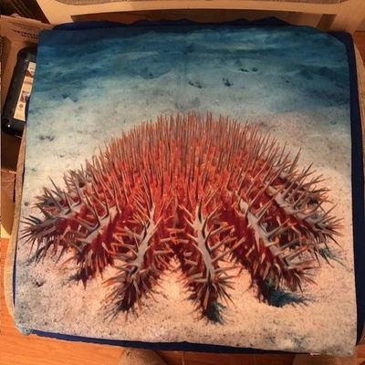 Funda de almohada con cremallera - coral marino - para forma de almohada cuadrada de 18" Foto 1 de 2