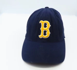 UCLA Bruins Navy Blue One Fit Hat Cap Top Of The World - Picture 1 of 13