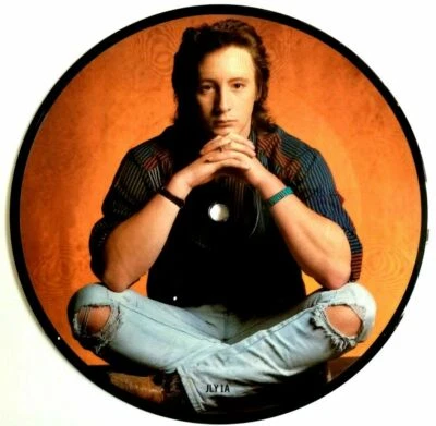 MINT! Julian Lennon Too Late For Goodbyes Picture Disc 7" Vinyl 45 John Beatles - Image 1 of 2