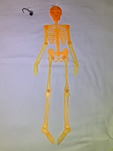 Vintage leuchten im Dunkeln verbundenes Kunststoffskelett orange Halloween beleuchtete Augen 3 Fuß - Bild 1 von 9