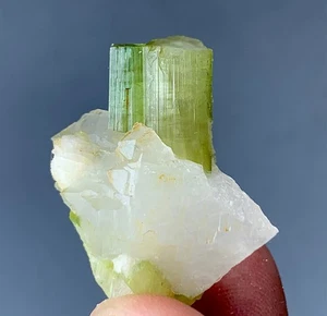 56 Carat Tourmaline Crystal Specimens Combine With Quartz From Pakistan - Picture 1 of 10