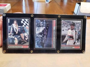 Dale Earnhardt und Teresa Earnhardt Kartenset - Bild 1 von 8
