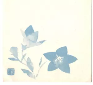JAPAN Postal Stationery Card Omiya Fancy Cancel FLOWERS Illustrated 1963 KA994 - Picture 1 of 8