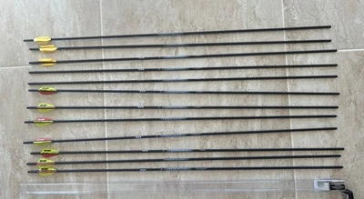 Easton A/C/E 1-Dozen 570 Spine Test Shot Only NEW Arrows - Image 1 of 4