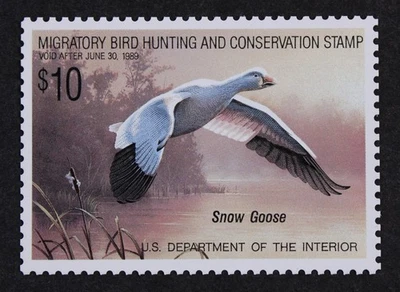 CKStamps: US Federal Duck Stamps Collection Scott#RW55 $10 Mint NH OG  - Image 1 of 2