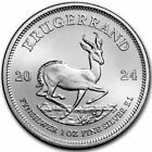 Krugerrand 2024 1 oz Pure Silver Bullion Coin  South Africa