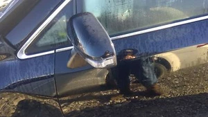 Driver Side View Mirror Power Heated Without Memory Fits 14-16 VENZA 3339251 - Picture 1 of 12