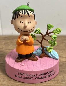 Hallmark 2013 What Christmas Is All About Ornament Linus Peanuts Working Sound! - Picture 1 of 7