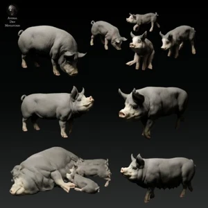 DEN MINIATURES  PIG MAIALI SUPER SET 12 MAIALI  1/35 ANIMAL  SET - Foto 1 di 1