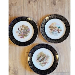 Vintage Brooks Brothers Spiel Vögel Speiseteller 8er Set England Blau Urlaub - Bild 1 von 10