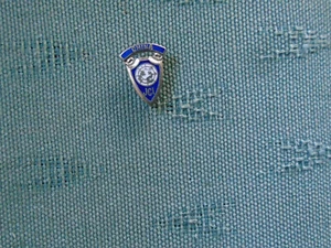 CHINA JCI JUNIOR CHAMBER INTERNATIONAL - ENAMEL LAPEL BADGE - SCREW TYPE FIXING - Picture 1 of 2