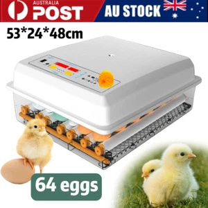64 Egg Incubator Fully Automatic Digital Turning Chicken Poultry Duck Hatching - Picture 1 of 15