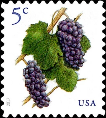 20 Mint Deep Purple Pinot Noir GRAPES STAMPS: Grape, Fruit, Grapevine, Vineyard - Image 1 of 2