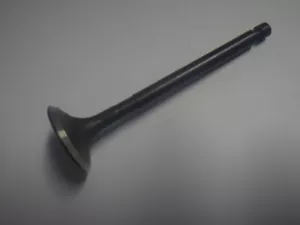 Yamaha Gas Golf Cart G22-G29 Engine Exhaust Valve 7CT-E2121-00 - Bild 1 von 2