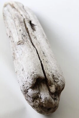 79 cm Garten Deko SEHR SCHÖN! Treibholz Schwemmholz Stamm Ast Norwegen - Bild 1 von 4