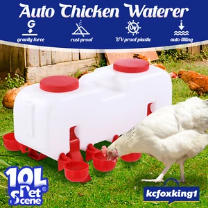 Auto Chicken Water Feeder Chick Waterer Automatic Poultry Dispenser Drinker 10L - Picture 1 of 12