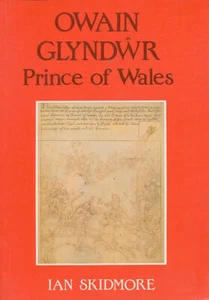 Owain Glyndwr- Prince of Wales - Picture 1 of 1
