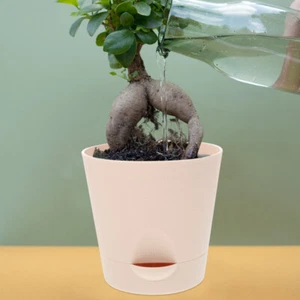 Automatic Water Absorbent Flower Pot Decorative Pots For Home Office - Picture 1 of 12