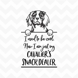 Cavalier Snack Dealer vinyl sticker decal decor wall peeking dog fun pet spaniel - Picture 1 of 5