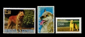 BELGIAN SHEPHERD DOG LAEKENOIS BSD POSTAGE STAMPS - 3 x from various countries - Picture 1 of 1