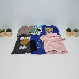 6 PC Boys 2T Clothes Lot Shirts Polo T-Shirts Disney Dino Mushroom Pie VG - Picture 1 of 24