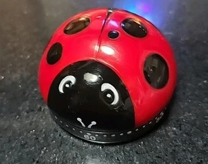 Cute Ladybug Shaped Portable 60 Second kitchen Timer ! - Picture 1 of 3