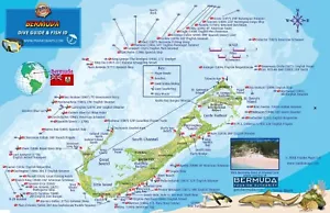 Bermuda Dive Map & Reef Creatures Guide Waterproof Fish Card by Franko Maps - Picture 1 of 2