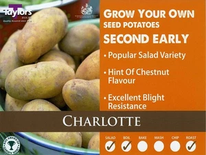 Charlotte - Winter Seed Potato - Second Early - Available in bags of 10 - Picture 1 of 1