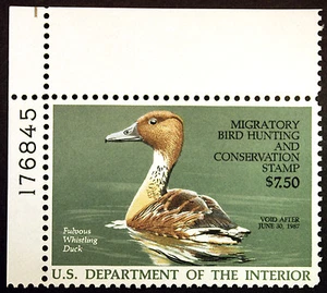 RW53 $7.50 Fulvous Whistling Duck Hunting 1986 VF-XF MNH OG Plate # PO Fresh - Picture 1 of 1