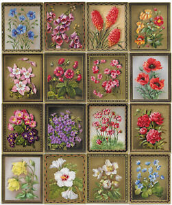 Zigarettenbilder Sammelbilder Blumen und Blütenzauber