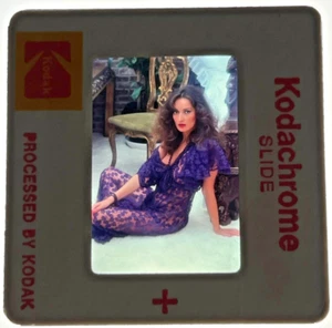 1980 Rare Slide Isabella Ardigo Pet Of The Year Bob Guccione Penthouse Magazine - Picture 1 of 1
