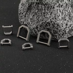 Anillo en D de aleación de titanio llave grillete en forma de U llavero cierre de herradura para llavero de coche - Imagen 1 de 10