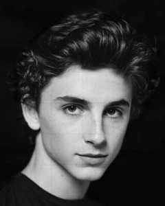 TIMOTHEE CHALAMET - 10" x 8" b/w Young Portrait Photograph - Imagen 1 de 1