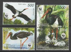 Belarus 2005 WWF, Birds 4 MNH stamps - Picture 1 of 1
