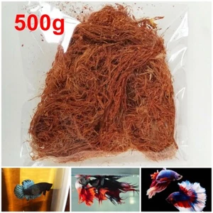 Dried Cutch Tree Acacia Catechu Aquariums Betta Fish Shrimp Fermented Water 500g - Picture 1 of 12
