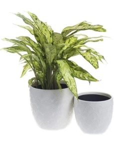 Nocuswao Ceramic Planters Garden Flower Pot 5.5 and 4.5 Inch Set of 2, Indoor - Picture 1 of 6