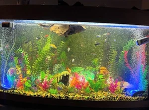 180L jewel fish tank (two external filters and heater) - Picture 1 of 4