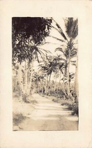 1910s RARE! REAL PHOTO Road Agana Springs Guam - Mariana Islands - South Pacific - Picture 1 of 3