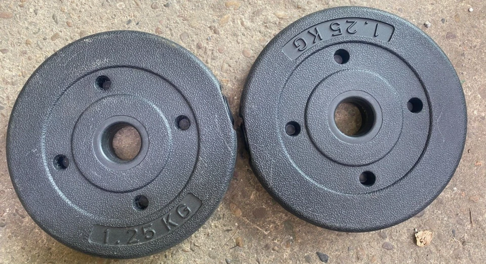 pair of 1.25kg Weight Plates (2.5kg in total) - Image 1 of 1