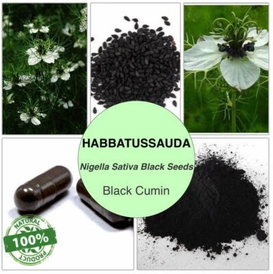 CAPSULES HABBATUS SAUDA (Nigella Sativa Black seeds) Black cumin HERBAL Organic - Image 1 of 4