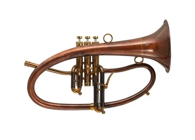 Taylor flicorno soprano PHAT BOY LACCATO - Bild 1 von 4