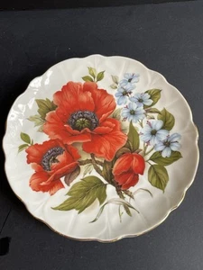 English Bone China 8” Salad Plate Red Poppy  - Bild 1 von 5