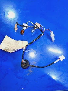 🐼 Arnés de enchufe de lámpara de luz trasera Nissan Altima 16-18 P/N: 26551-9HS0A 🌟 - Imagen 1 de 12