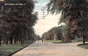 North Broadway White Plains New York cancel 1907 Souvenir Postcard - Picture 1 of 2