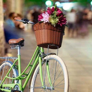 Fahrrad braun KORB Kunststoff Kunst Rattan Weave Cruiser Komfort Fahrräder - Bild 1 von 8
