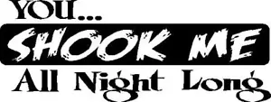 Calcomanía AC/DC pegatina You Shook Me All Night Long cualquier color vinilo rock & roll - Imagen 1 de 2